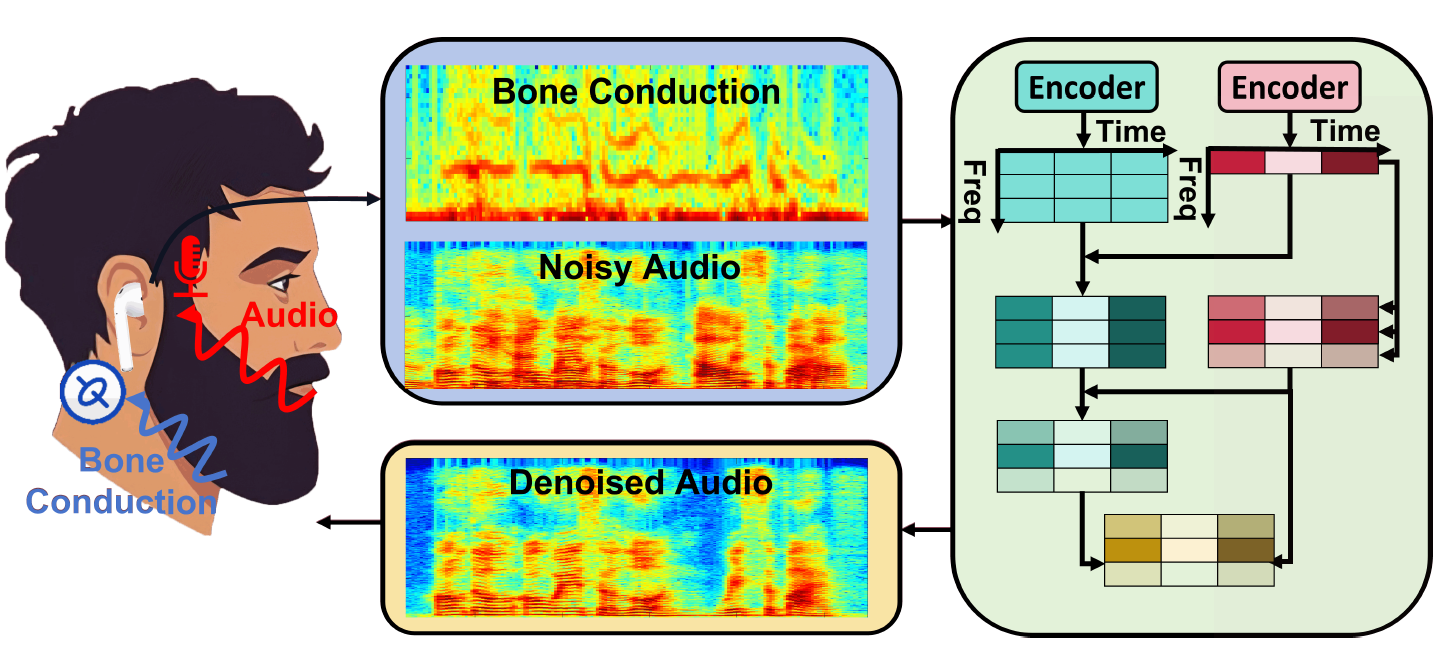 paper_TMC26_BoneSE.png